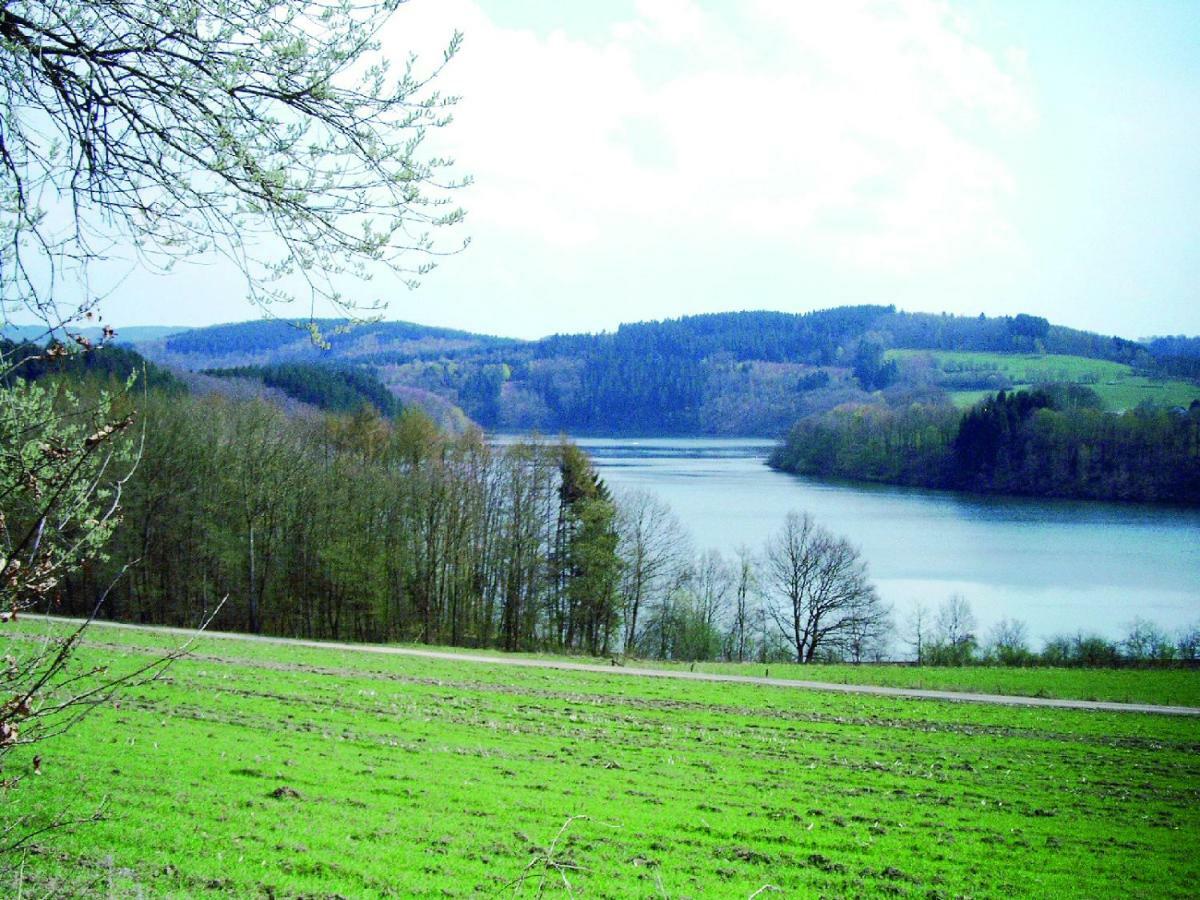 Allendorf  Ferienwohnung Am Sorpesee מראה חיצוני תמונה
